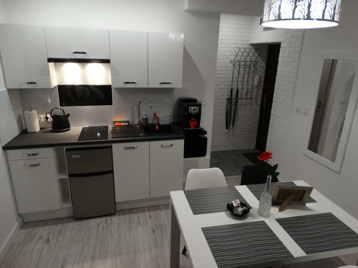 Apartament "Eli" Torun Luaran gambar